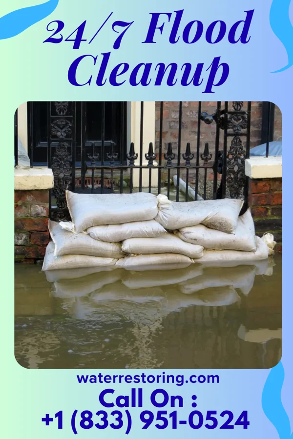 24/7 Flood Cleanup in Graham, GA