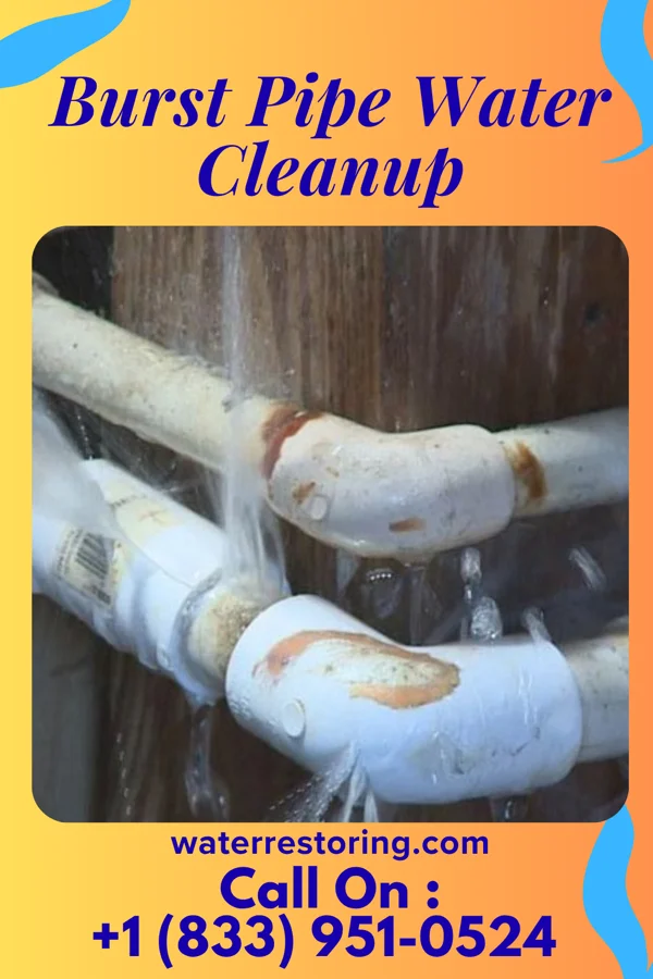 Burst Pipe Water Cleanup in Graham, GA