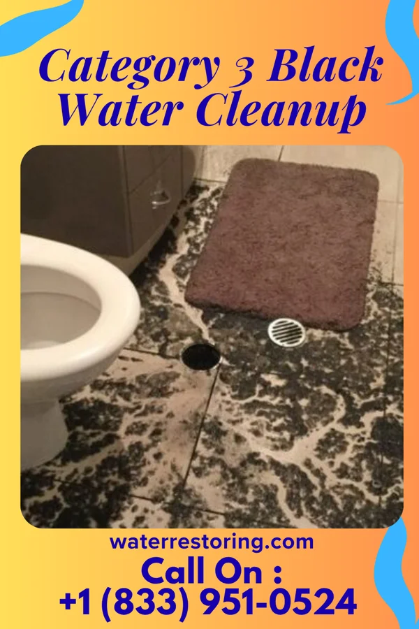 Category 3 Black Water Cleanup in Graham, GA