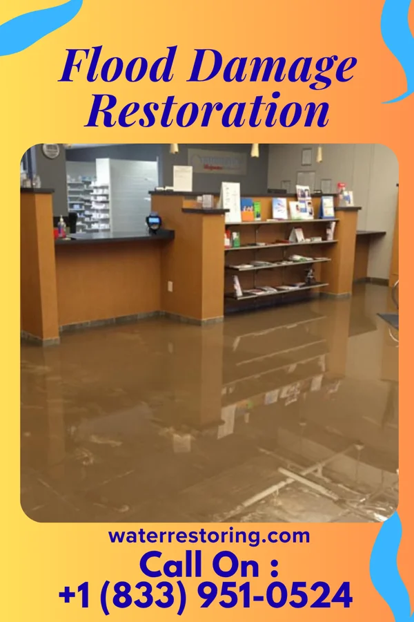 Flood Damage Restoration in Graham, GA