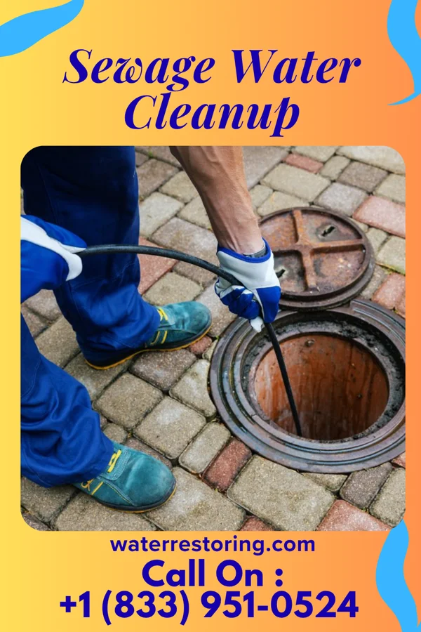 Sewage Water Cleanup in Graham, GA